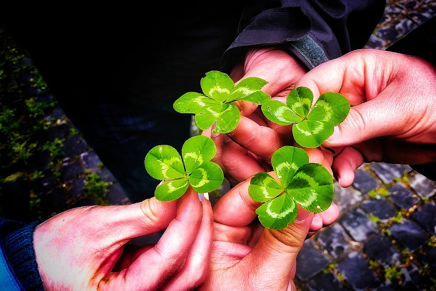 Rituel de Chance et Prospérité — Professeur Safar
